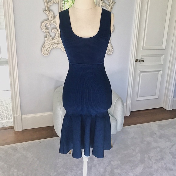 Issa Navy Dress - Picture 1 of 5